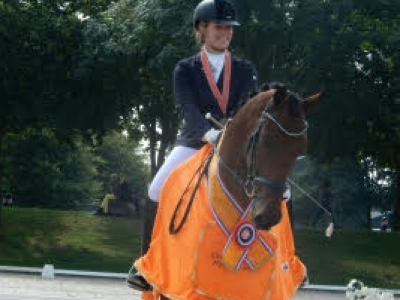 Figo ( Armani x Houston ) Nederlands Kampioen