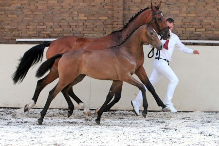 2. LA'RIKE