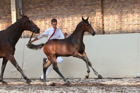 5. L'EXPRESSION TH