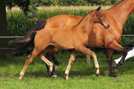 14.Magnificent Summer